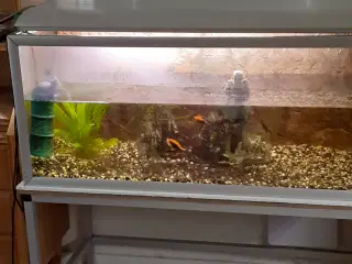 Akvarier komplet