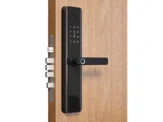 Intelligent Lock K1 Pro