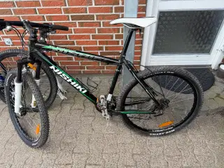 Mountainbike 
