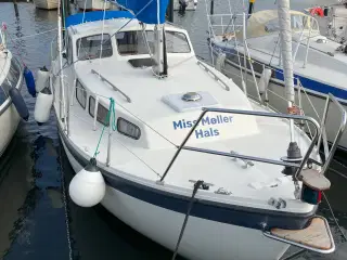 LM27