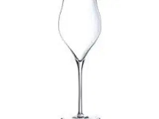 12 stk. Champagneglas Exaltation 35 cl Chef&Sommelier