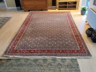 Flot persisk Moud med silke