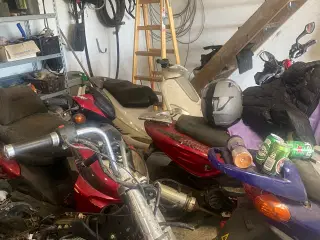 Scooter 