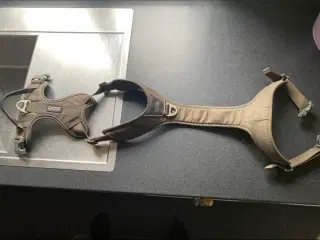 Hundesele størrelse large