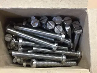 Rustfri A2 bolt M8X70