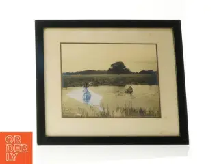 Indrammet fotografi af hjorte (str. 37 x 32 cm)