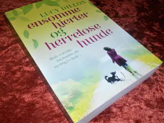 Ensomme hjerter og herreløse hunde, Lucy Dillon,