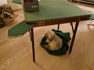 Bridgebord og meldebokse