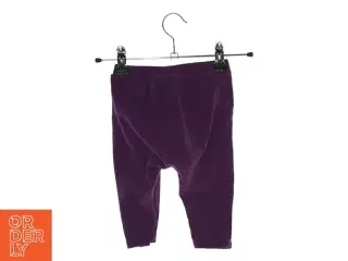 Bukser fra Molo