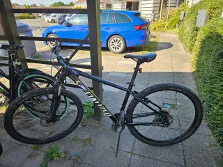 Specialized Rockhopper 2021