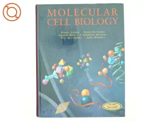 Molecular cell biology (Bog)
