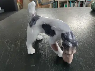 Kongelig porcelæn Hund