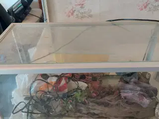Akvarie