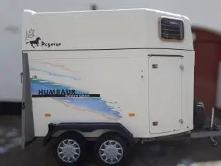 Humbaur Pegasus Hvid år 2002