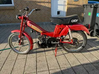 Motobecane Cady Knallert