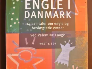 engle i danmark - 14 samtaler om engle, ved valent