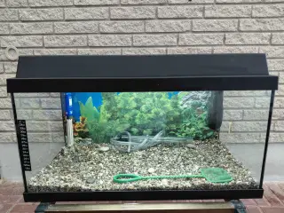 Akvarier 54L 