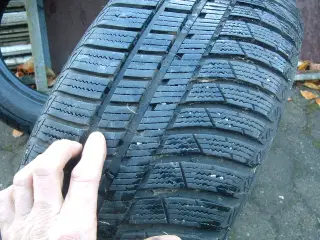 VINTERDÆK 195X55-15