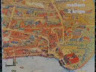 Sønderborg mellem 2 krige