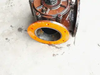 Hane til Gullepumpe Kimedan