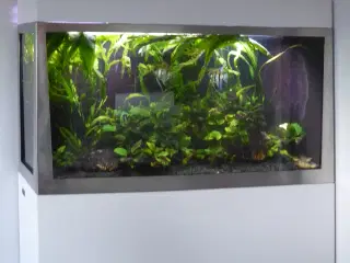 Akvarie 450 liter