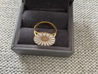 Daisy ring forgyldt/hvid 18 mm/str. 59