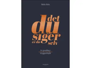 Det du siger er du selv - grundbog i skyggearbejde