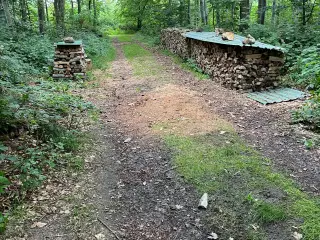 Kløvet og stablet bøgebrænde