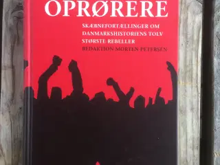 Oprørerne, Morten Petersen, emne: historie og samf