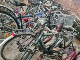 Cykler