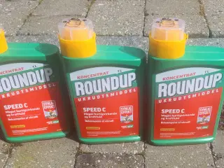 Roundup, godkendt ukrudtsmiddel 