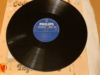 Lp