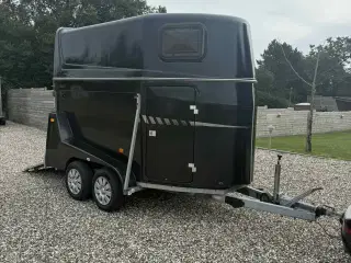 Hestetrailer 