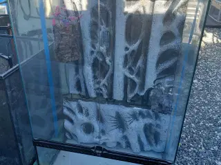 terrarium