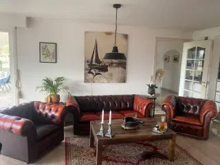 Chesterfield sofasæt læder brun/rustfarvet