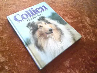 Collien,  Charlotte Høier