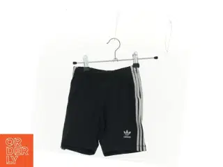 Shorts fra Adidas (str. 98 cm)