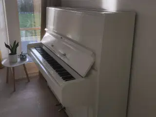 Klaver hvid