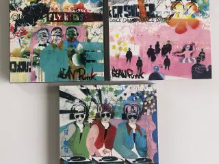 Billeder af Sean Punk