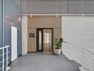 Nyistandsatte faciliteter i det attraktive Lautrupparken