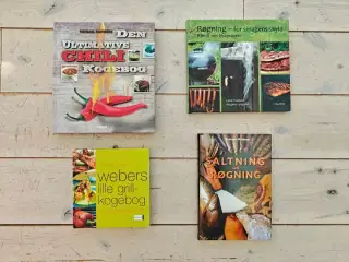 Herre-kogebøger: Grill, chilli, røgning & saltning