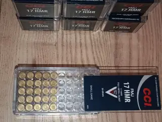 17 HMR Salonriffel ammunition 