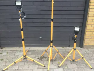 Projektørlamper