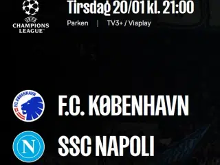 FCK v Napoli, Nedre C, F.C. København, Parken