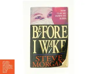 Before I Wake af Morgan, Steve (Bog)