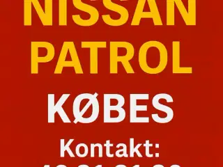 Nissan patrol købes