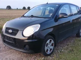 Kia Picanto nysynet 