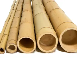 Bambus rør til hus og have