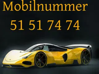 Guldnummer 51 51 74 74