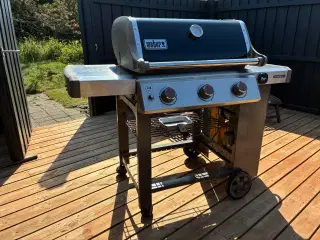 Weber Genesis II